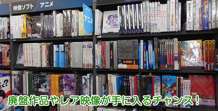 新座志木南店