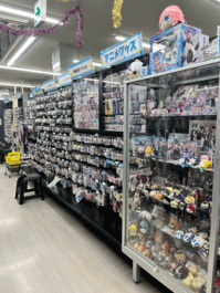 hiratsukashinomiya_202504_4