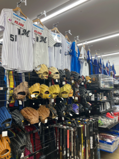 556b1286dd026977b20e6b3cc59bd285