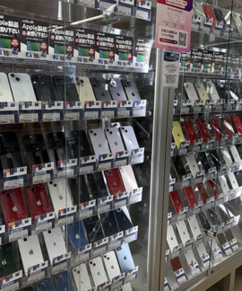 shop_sakaesukairu_202608_02